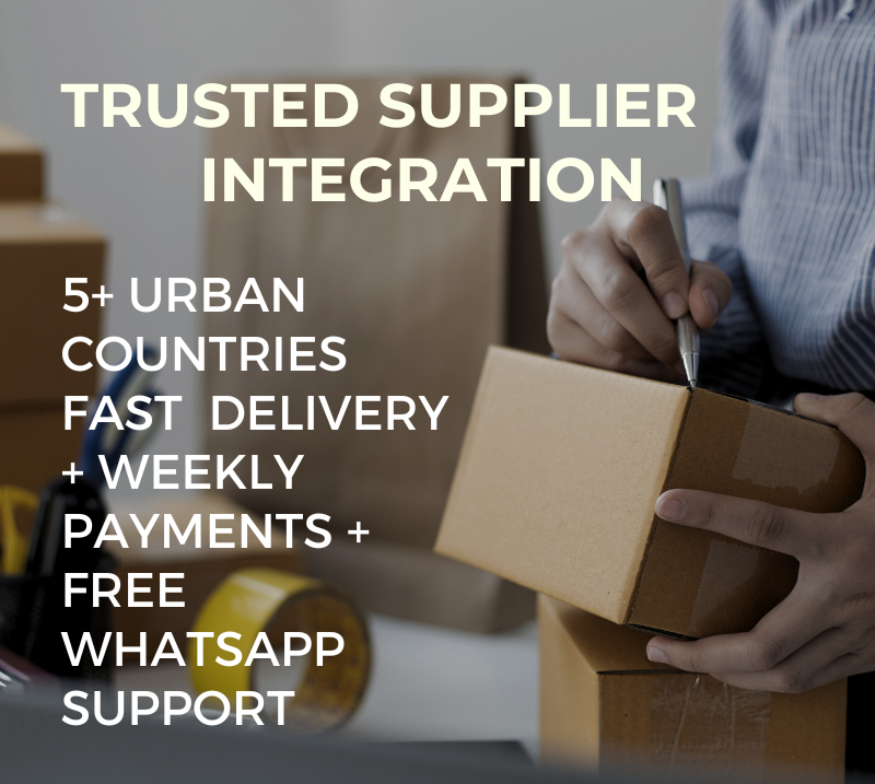 Start Your Dropshipping Business (Store + Supplier + Support)